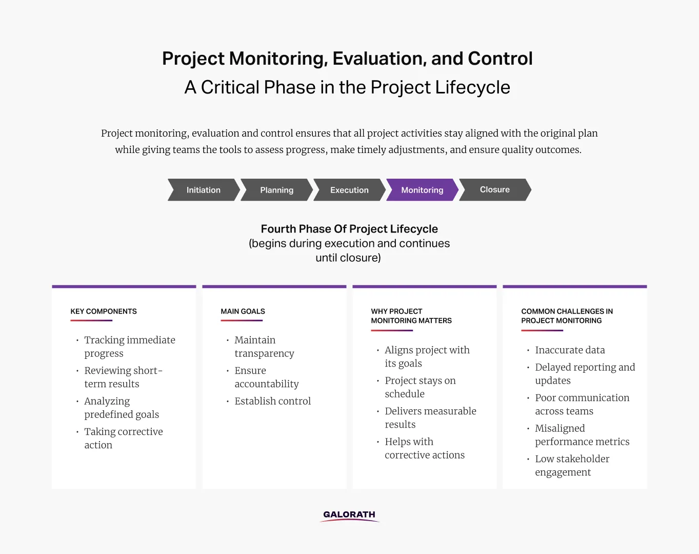 What is Project Monitoring